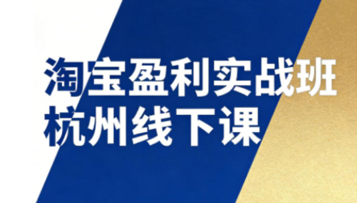 淘宝盈利实战班杭州线下课12月26-28日(音频+字幕),帮你掌握SOP流程+12门核心技术-灵感工坊云网创