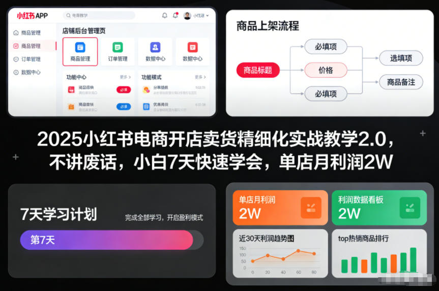 2025小红书电商开店卖货精细化实战教学2.0,不讲废话,小白7天快速学会,单店月利润2W-灵感工坊云网创