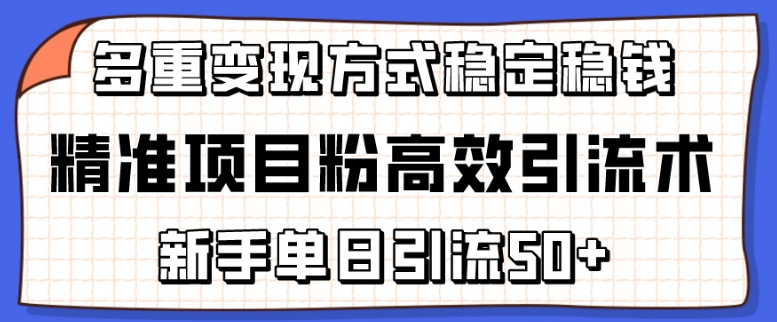 精准项目粉高效引流术,新手单日引流50+,多重变现方式稳定赚钱-灵感工坊云网创