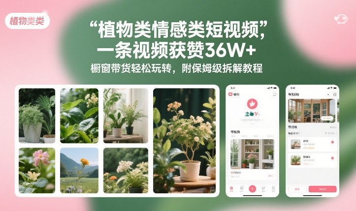 植物类情感类短视频,一条视频获赞36W+,橱窗带货轻松玩转,附保姆级拆解教程-灵感工坊云网创