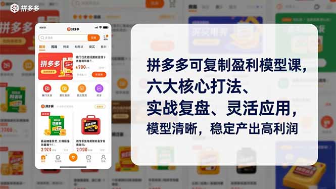 拼多多可复制盈利模型课,六大核心打法、实战复盘、灵活应用,模型清晰,稳定产出高利润-灵感工坊云网创