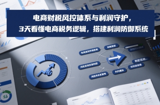 电商财税风控体系与利润守护,3天看懂电商税务逻辑,搭建利润防御系统-灵感工坊云网创