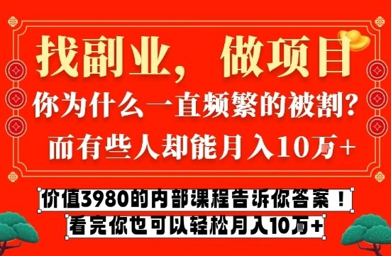 价值3980的网创内部课程,告诉你互联网创业月入10个W的秘密【揭秘】-灵感工坊云网创